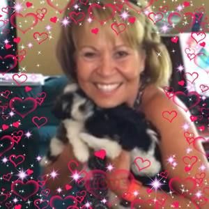 Meet your Posher, Ginger